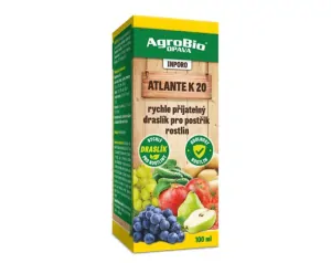 INPORO Atlante K 20 - 100ml